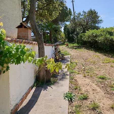 Casa vacanze D'ambra